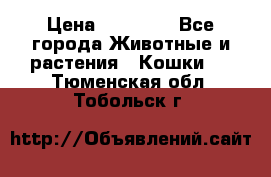 Zolton › Цена ­ 30 000 - Все города Животные и растения » Кошки   . Тюменская обл.,Тобольск г.